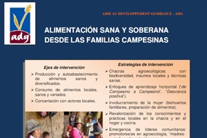 BUENAS PRÁCTICAS: Soberanía Alimentaria