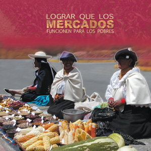 CURSO: ¿Cómo trabajar el Desarrollo de Mercados desde una perspectiva sistémica?