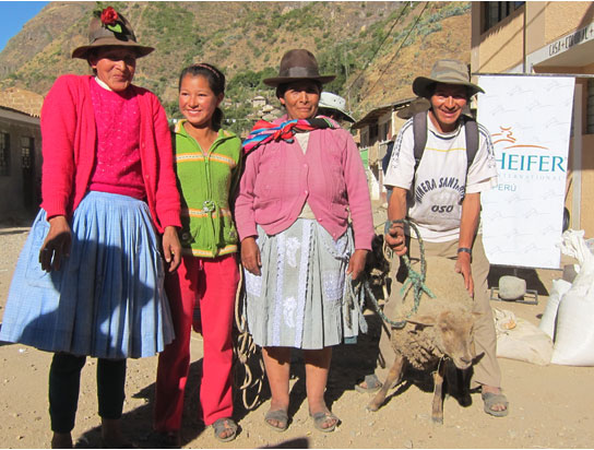HEIFER PERÚ: "Compartiendo a pesar de las adversidades"
