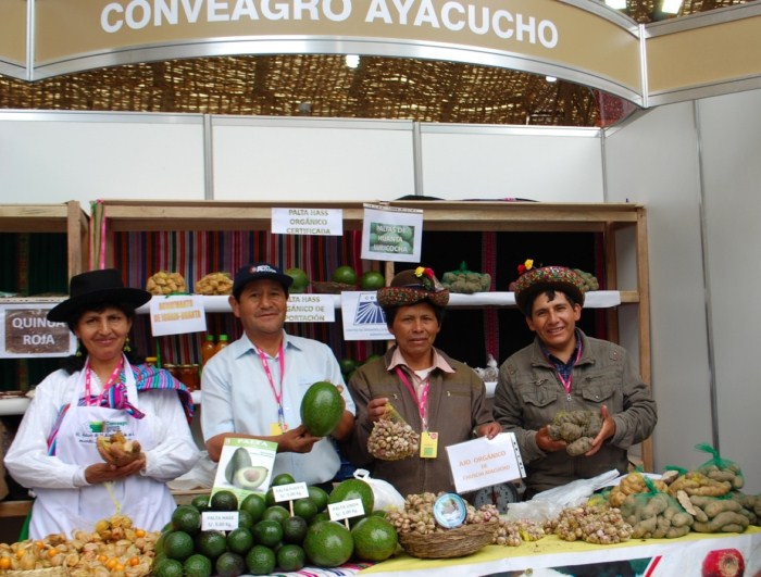 Pequeños productores ayacuchanos llegan a Mistura 2012 con más de 10 toneladas de granos andinos.