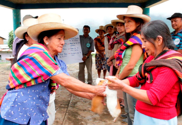 Familias cafetaleras se suman al desarrollo de Cajamarca con el Compartir de Recursos