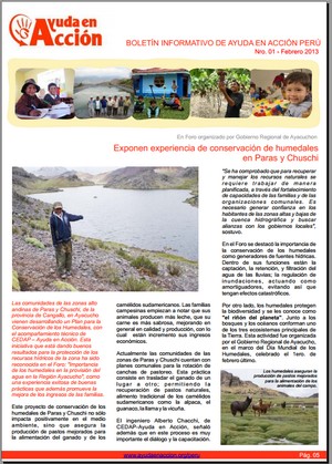 Boletín Ayuda en Acción Febrero 2013