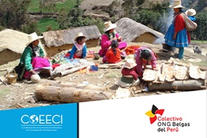 NUEVA PUBLICACIÓN: 6 desafíos de la CooperaciónInternacional en el Perú