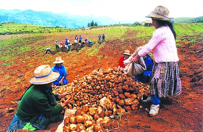 Foro debatirá Política Nacional de Seguridad Alimentaria que el país necesita
