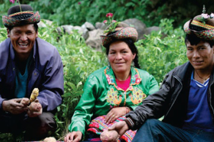 La agricultura familiar en el Perú, garante de la seguridad alimentaria y la agrobiodiversidad