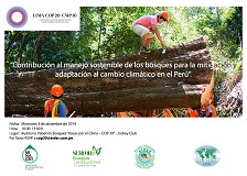 Manejo Sostenible de los Bosques