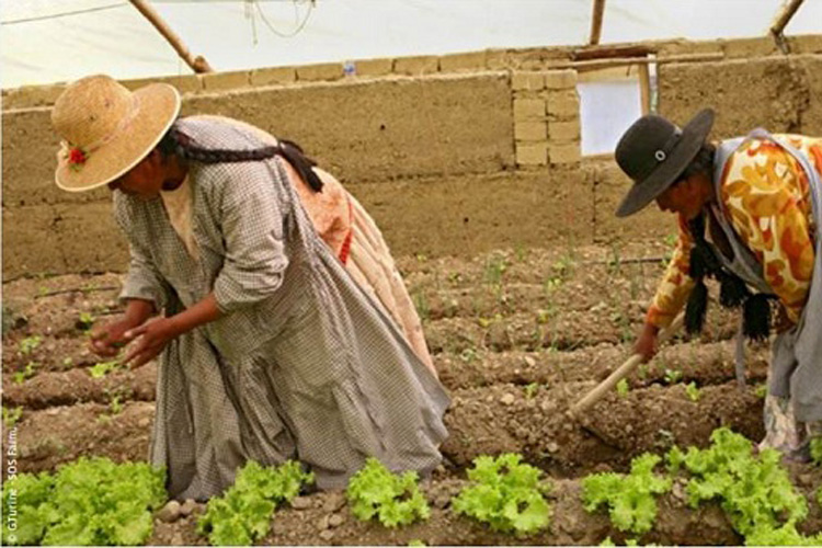 Soluciones para Financiar el Desarrollo de la Agricultura Familiar