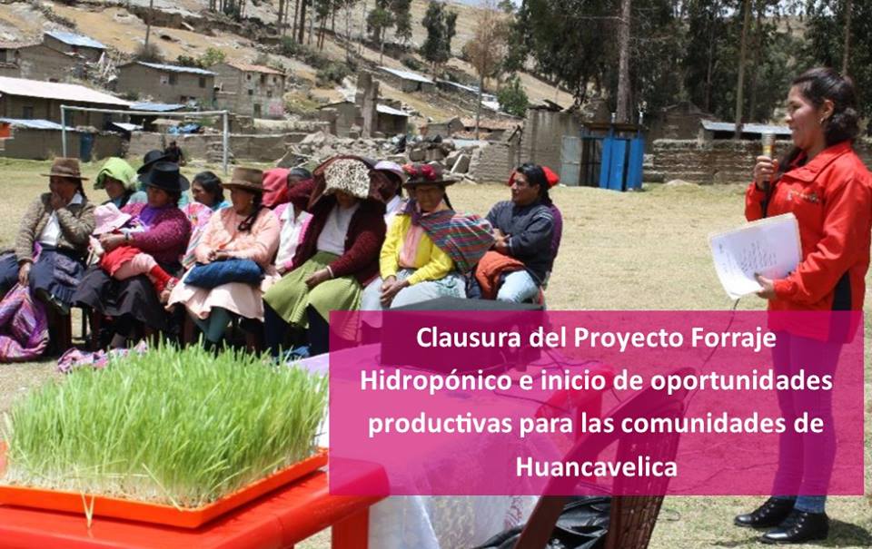 Clausura del proyecto Forraje Hidropónico
