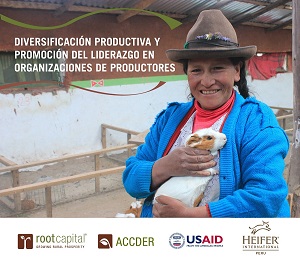 Diversificación productiva y promoción del liderazgo