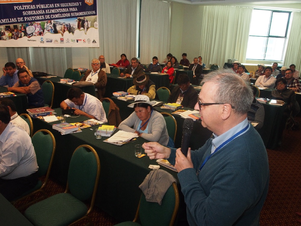 Perú, Ecuador, Bolivia y Argentina se unen para impulsar el sistema pastoril de camélidos sudamericanos