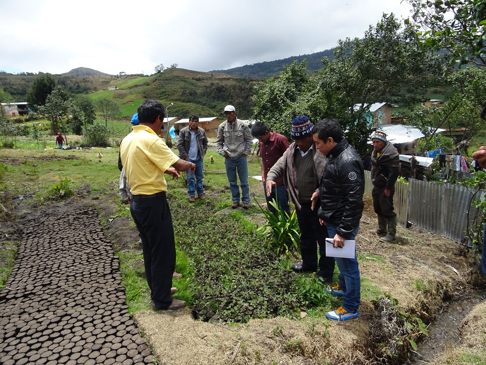 Se inicia el IV Foro Latinoamericano de Sistemas Participativos de Garantía (SPGs) en Piura