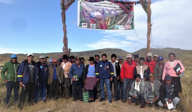 Aprender haciendo: las pasantías en la sierra del Perú siguen siendo el principal instrumento para la innovación en la cadena de la quinua orgánica
