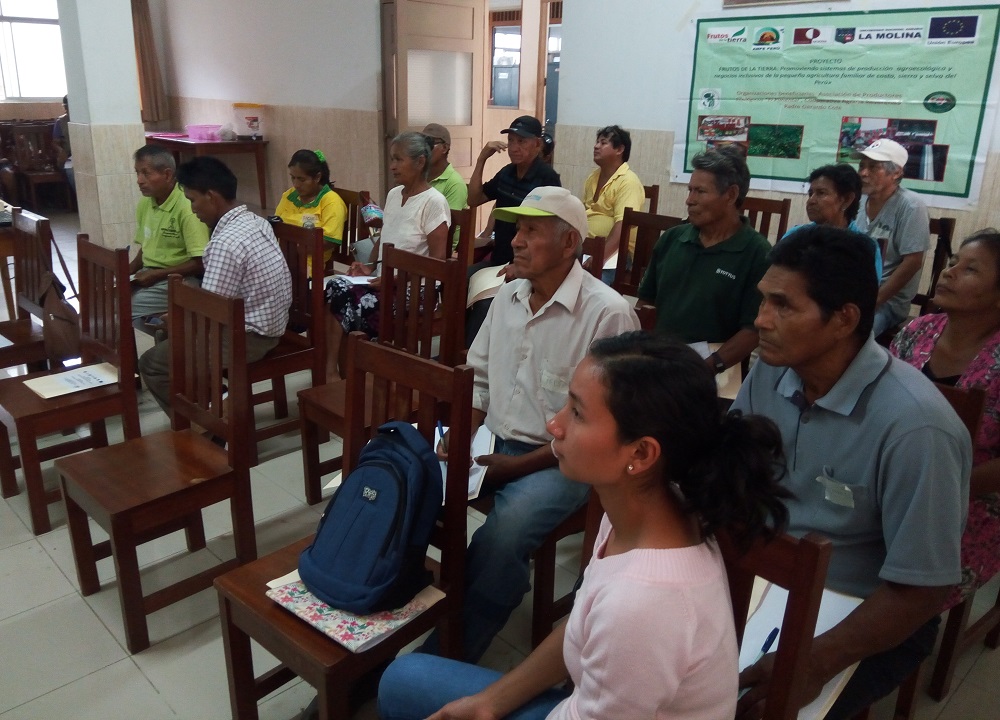 Talleres de Gestión Comercial en Pucallpa, Ucayali