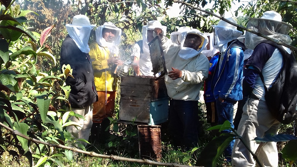 Se reactiva comité de Apicultura de CAC Pangoa en Satipo