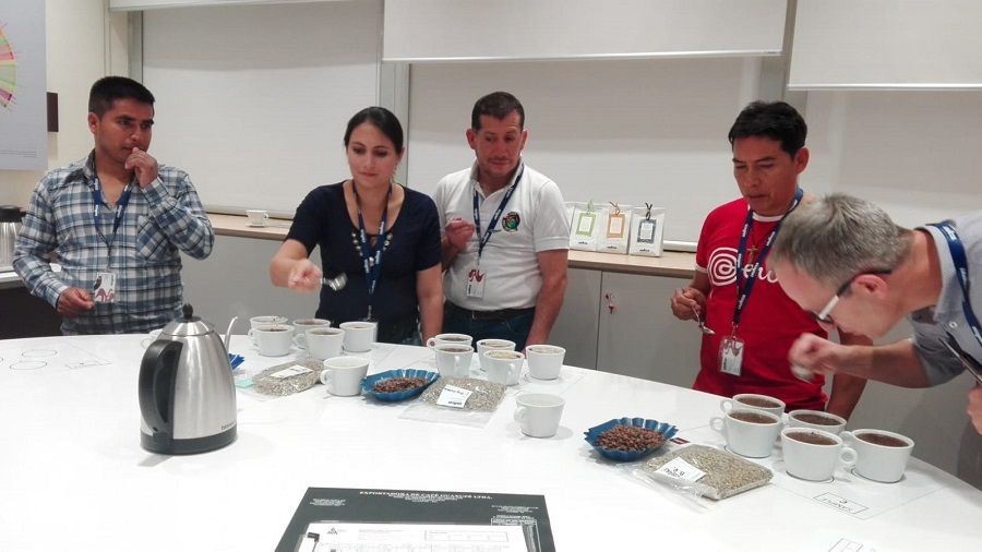 De Perú a Italia, Virgilio y Esaú, dos testigos de la agroecología en la Amazonía