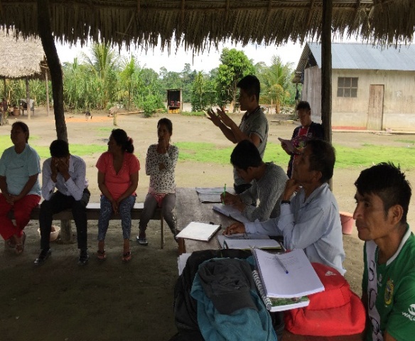 Terra Nuova busca fortalecer la cadena de valor del plátano en Río Santiago, región Amazonas