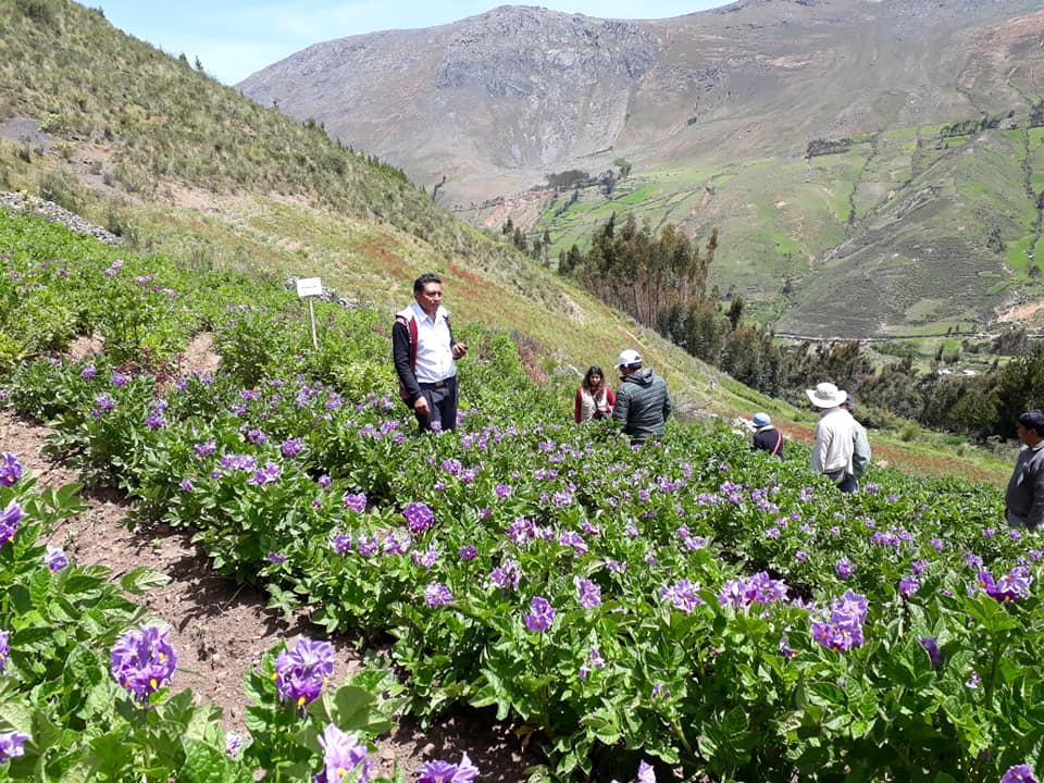 Culminó exitoso encuentro binacional Perú-Bolivia de intercambio de experiencias del programa Interactuando con Territorios Vivos Zona Andina 