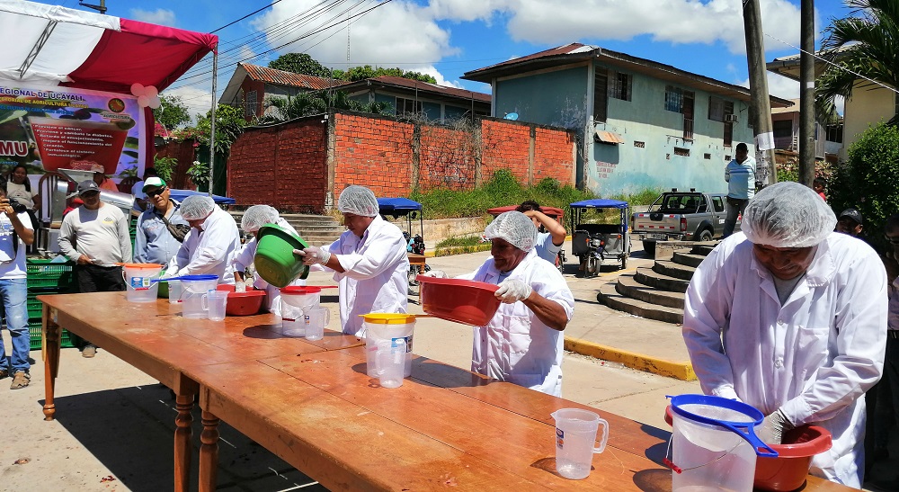 Gran celebración del día del camu camu en Pucallpa
