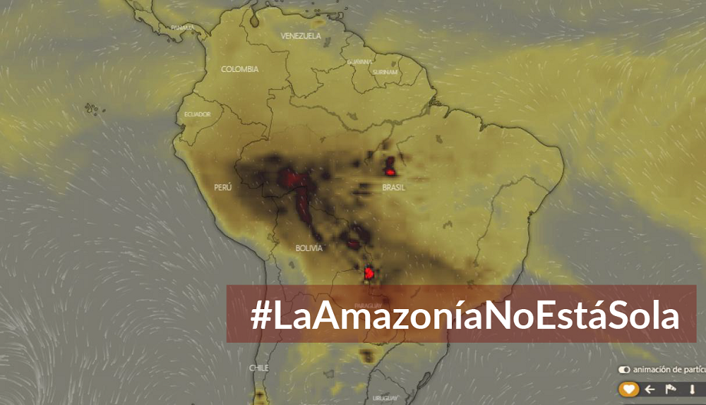 Incendios en la Amazonía: Investigación y atención a pueblos indígenas afectados