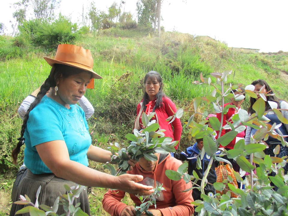 El rol de las mujeres en la agricultura familiar