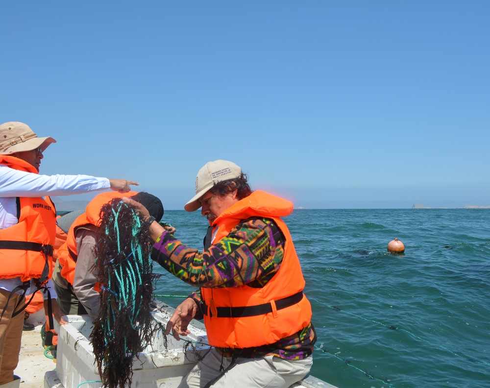 Terra Nuova avanza en su proyecto acuícola en Pisco