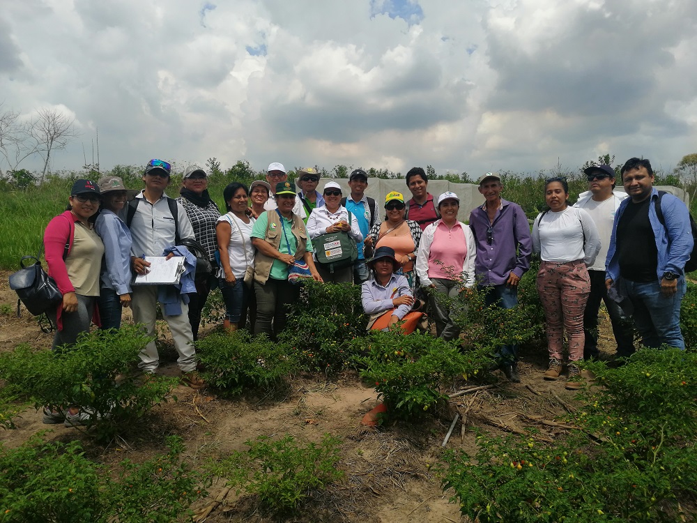 Promoviendo turismo vivencial en las parcelas de APE Pimental en Pucallpa, Ucayali