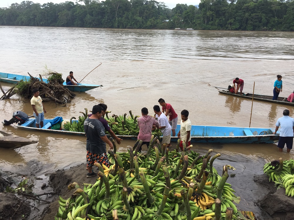 Terra Nuova lanzará pronto nuevo programa de radio en Río Santiago, región Amazonas