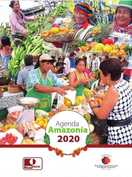 Agenda Amazonía 2020 de Terra Nuova, importancia de los Mercados Territoriales