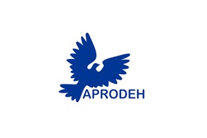 APRODEH: Pronunciamiento sobre la situación del país