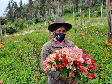 Impulsando el desarrollo sostenible en Apurímac y Ayacucho