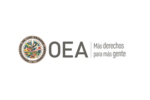 La Misión de Observación Electoral de la OEA felicita al Perú por una jornada electoral pacífica y democrática