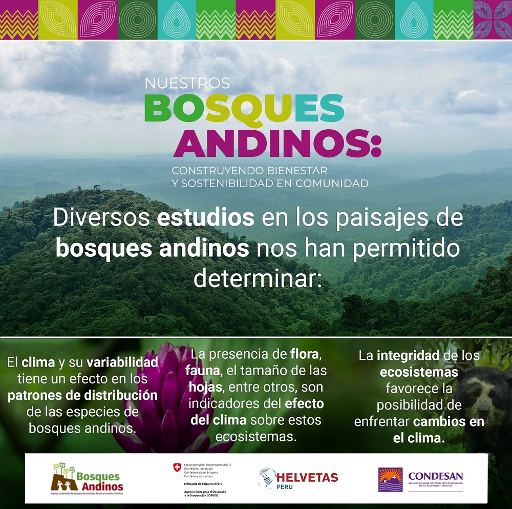 Campaña de cierre del Programa Bosques Andinos “Nuestros bosques andinos: Construyendo bienestar y sostenibilidad en comunidad”
