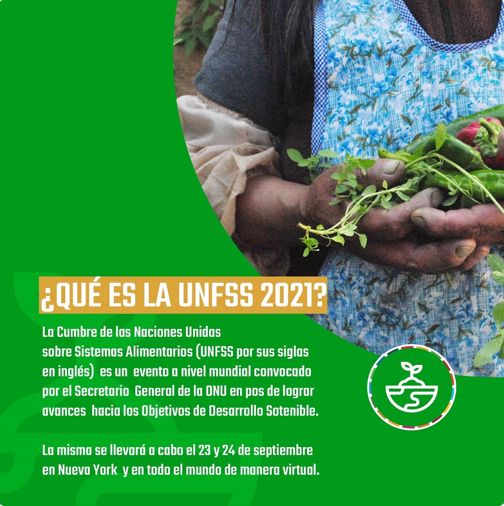 Campaña de Welthungerhilfe Suramérica por la Cumbre sobre Sistemas Alimentarios