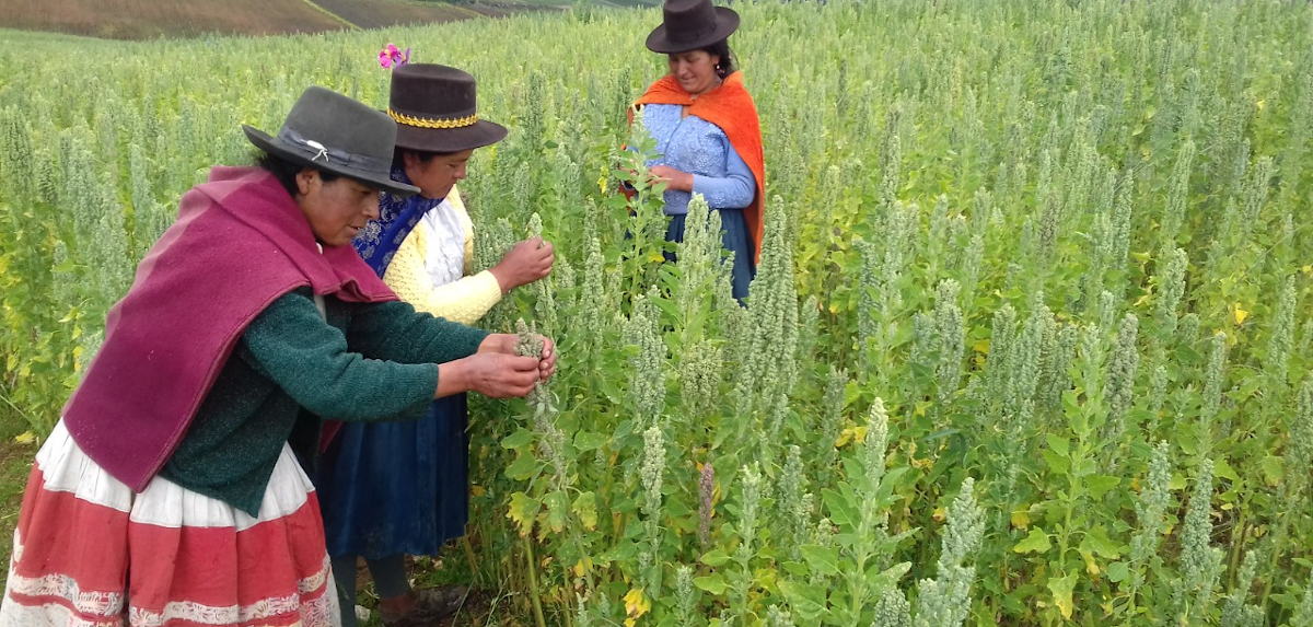 Boletín COEECI N° 3: Fortaleciendo capacidades para reducir brechas