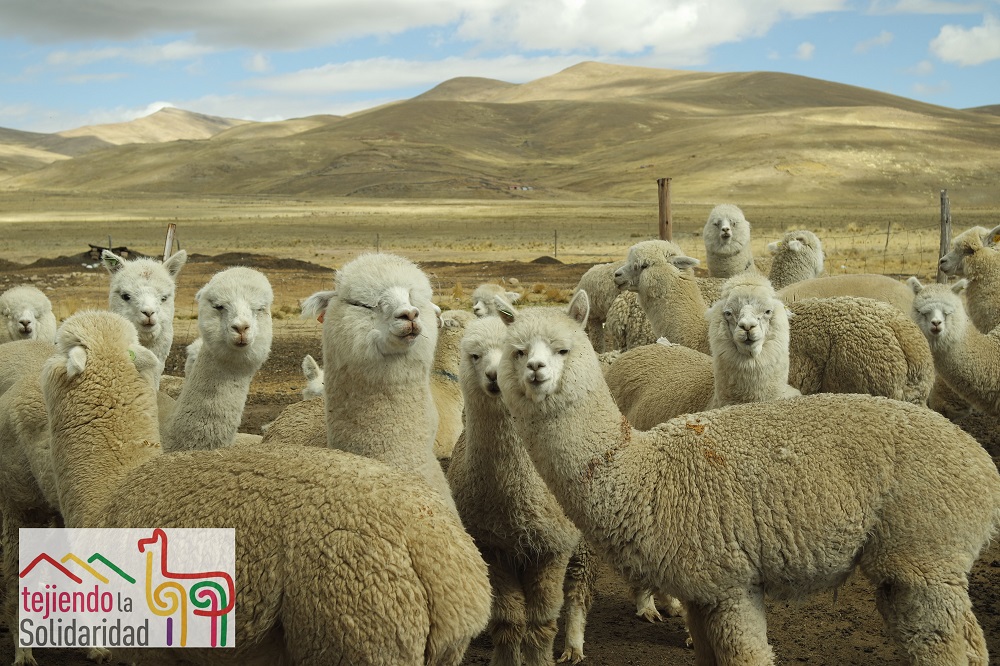 PROGETTOMONDO: las novedades al final de este año