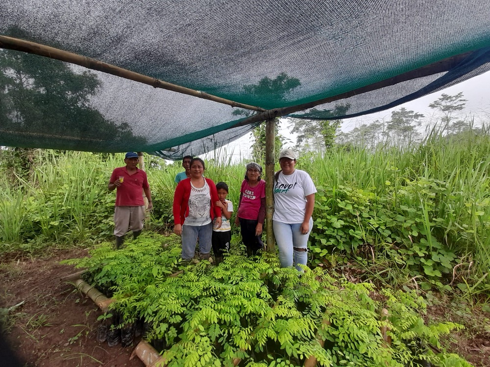 Más de 28 000 árboles distribuidos: en 2021, Envol Vert ha seguido su lucha por el bosque!