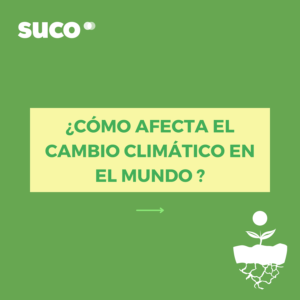 Resiliencia y Cambio Climático
