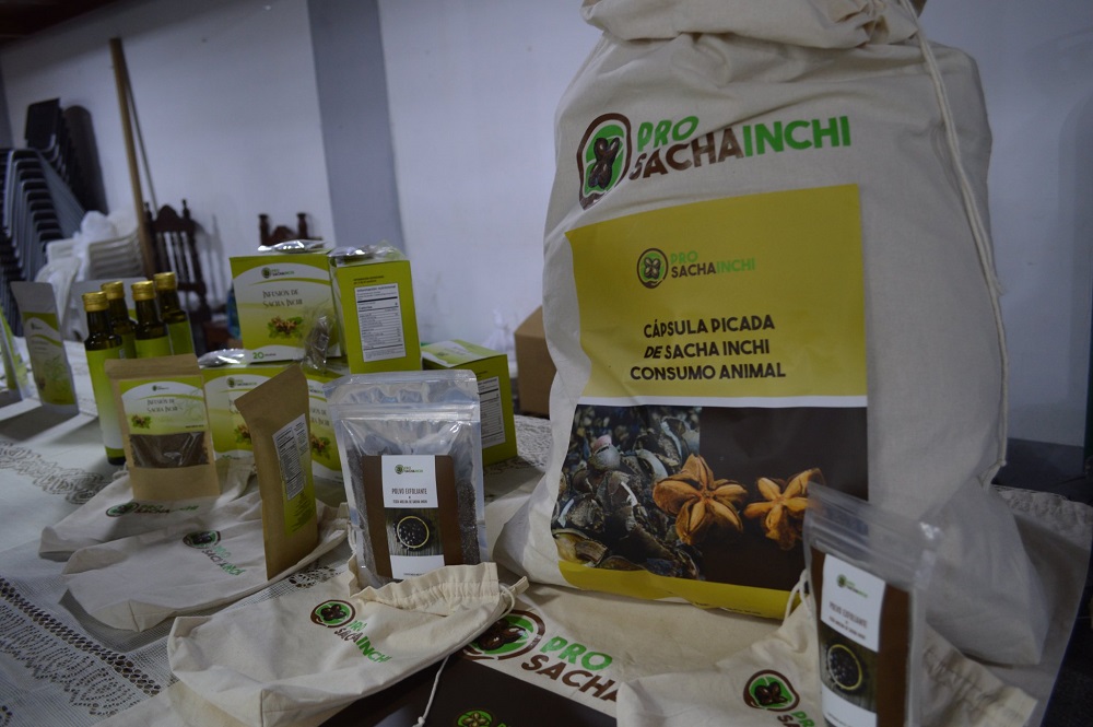 Presentación de resultados en proyectos modelos e innovadora en el procesamiento del Sacha Inchi y la Panela Orgánica: Tarapoto y Piura unidos gracias al programa SeCompetitivo