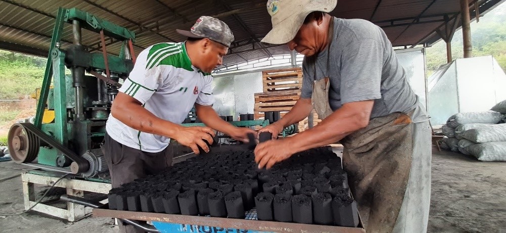 Los prometedores resultados del ecocarbón. Una alternativa frente a la deforestación de nuestros bosques