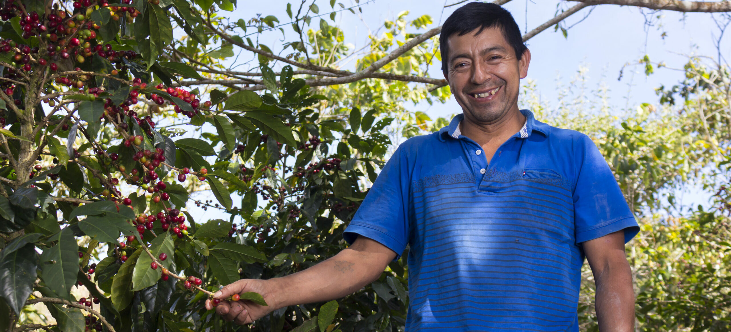 Preguntas Frecuentes