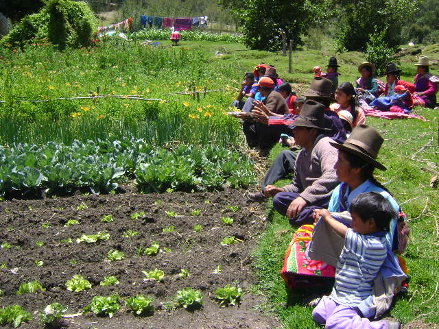Transiciones y escalamiento de la agroecología en Perú y Bolivia: breves apuntes y reflexiones de algunos casos para el debate