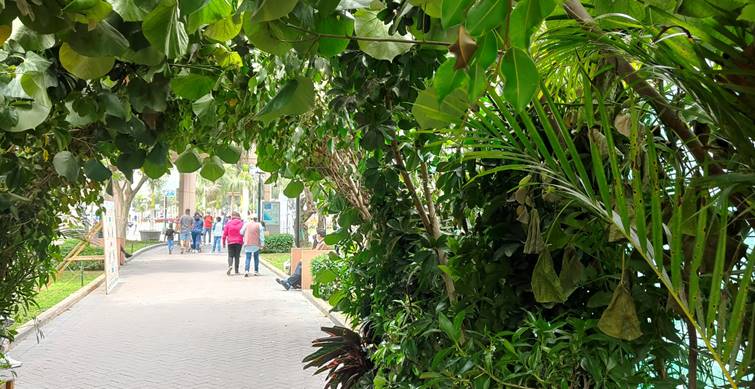 Envol Vert Perú en 2022