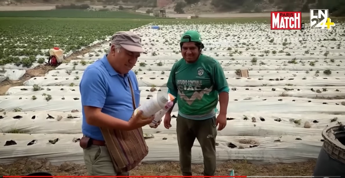 ¡Bélgica prohíbe la exportación de pesticidas prohibidos!