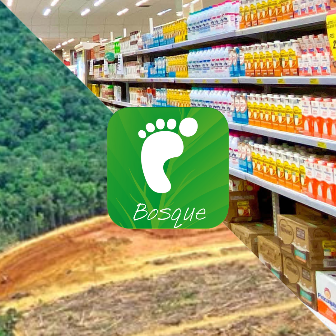 ¡Calcula tu Huella Forestal!