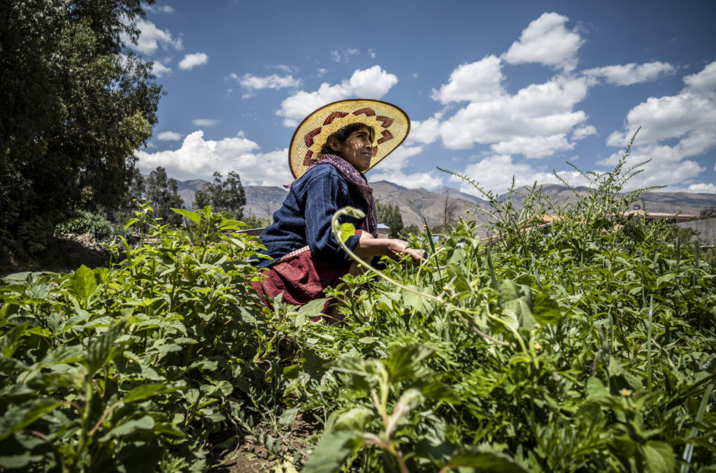 SOS FAIM se convierte en Humundi