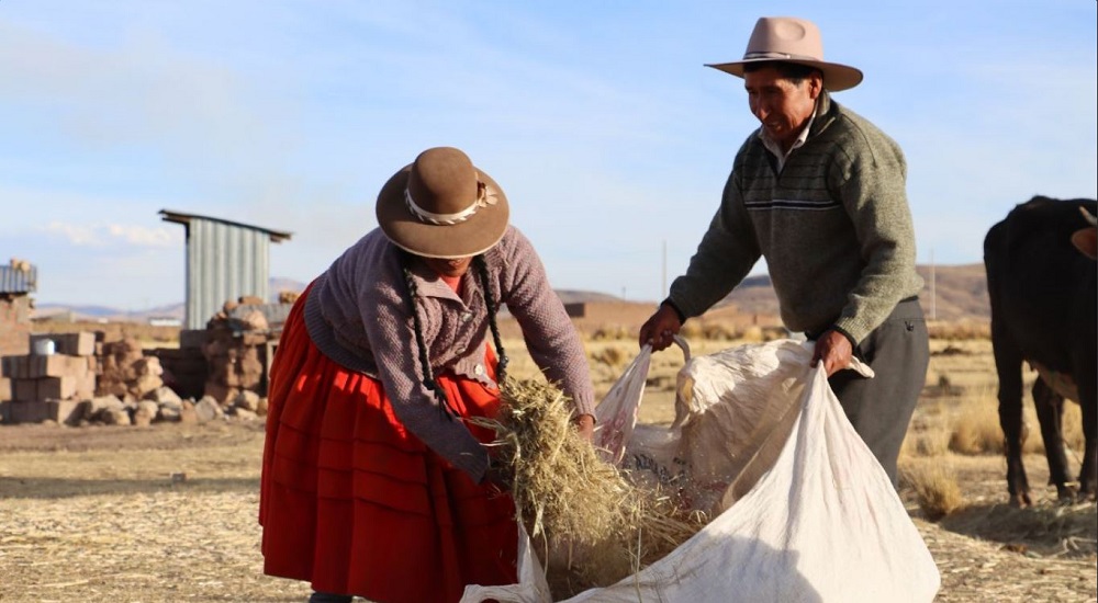 Inspirados por los Andes, historias que desafían los efectos del cambio climático en la agricultura familiar