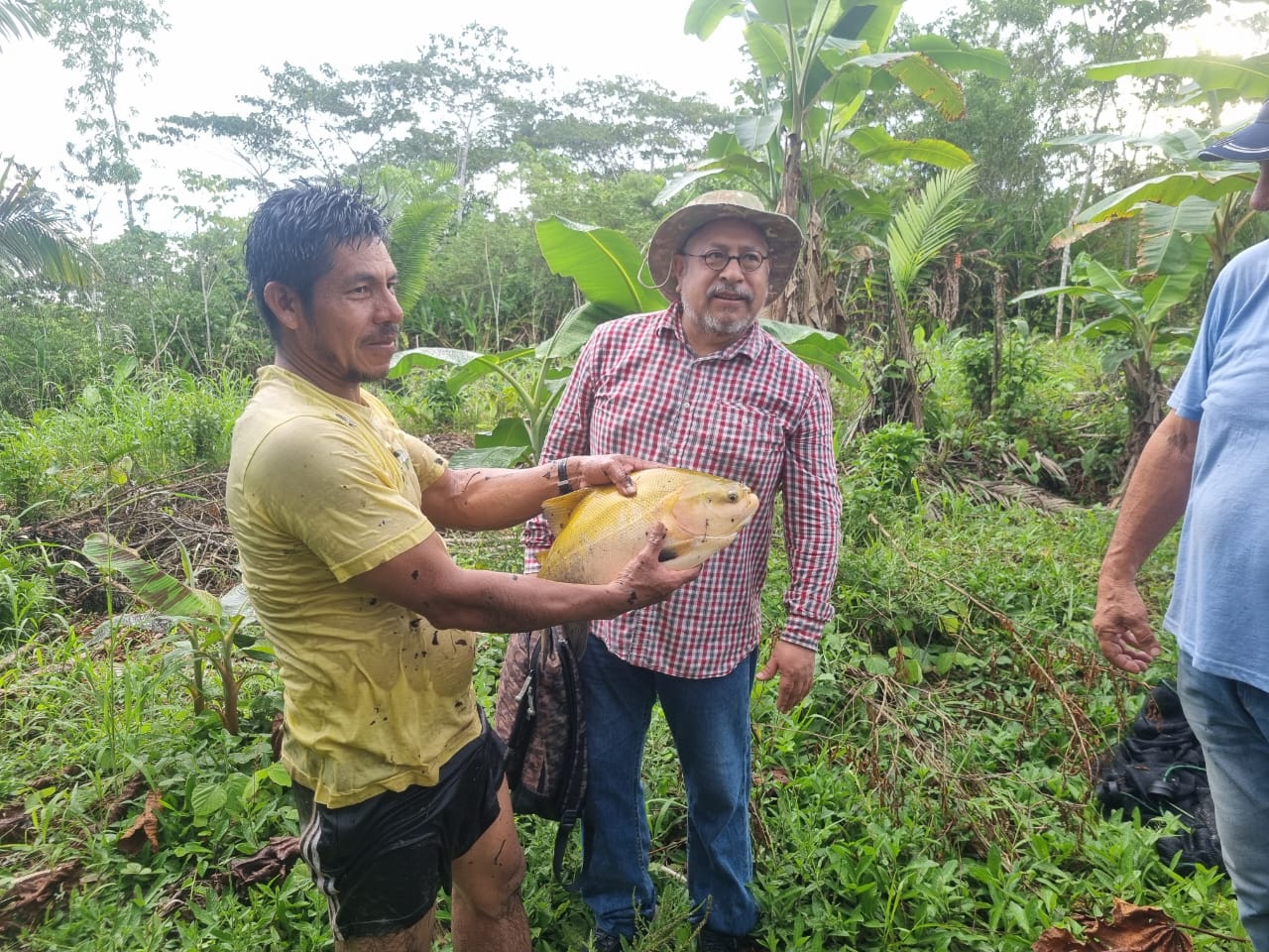 Plan Binacional realizó visita de monitoreo a nuestro proyecto piscícola en el Morona, región Loreto