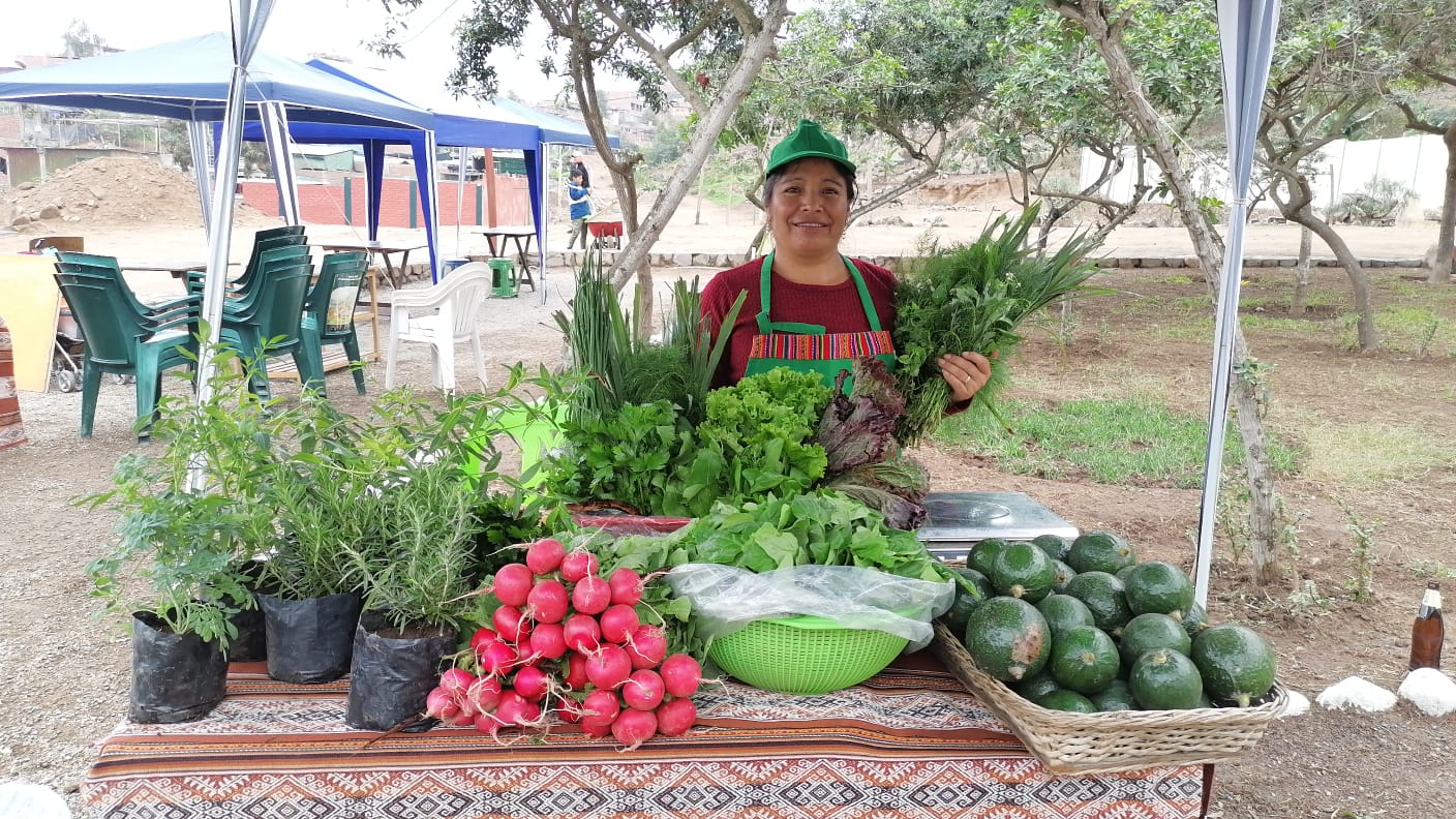 Boletín COEECI N° 11: INICIATIVAS DE IMPACTO