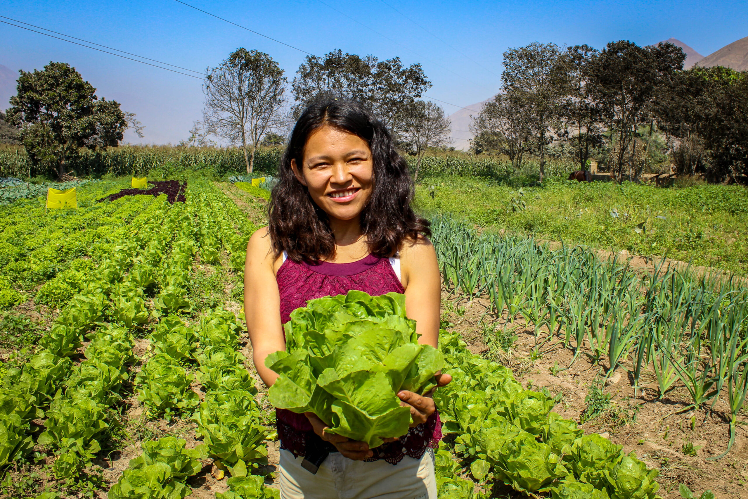 Boletín COEECI N° 12: Cerrando año y reflexionando sobre los retos pendientes