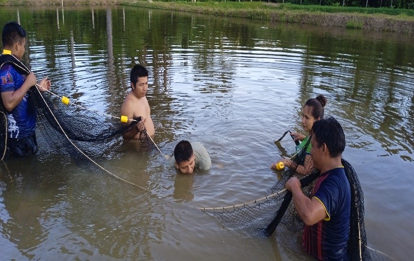 Centro de reproducción de peces amazónicos se convierte en un pilar para el desarrollo de la piscicultura en la cuenca media - baja de El Cenepa, región Amazonas
